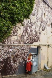The best street art in Dunedin, New Zealand